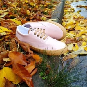 magic-s-dragon-huarapa Pink